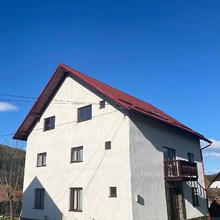 莫伊西德约斯 Casa Oana Ioana旅馆 外观 照片
