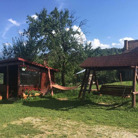 莫伊西德约斯 Casa Oana Ioana旅馆 外观 照片