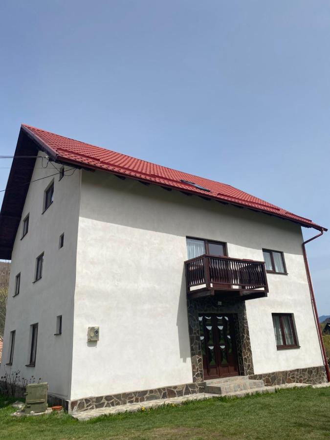 莫伊西德约斯 Casa Oana Ioana旅馆 外观 照片