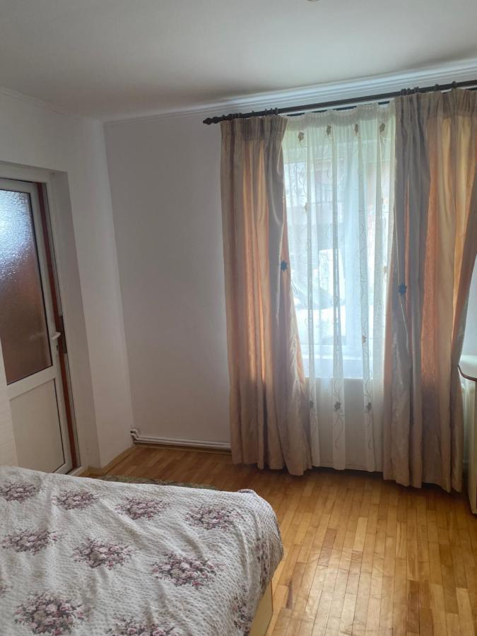 莫伊西德约斯 Casa Oana Ioana旅馆 外观 照片