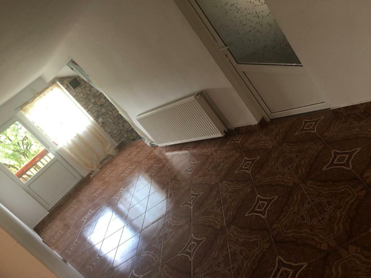 莫伊西德约斯 Casa Oana Ioana旅馆 外观 照片