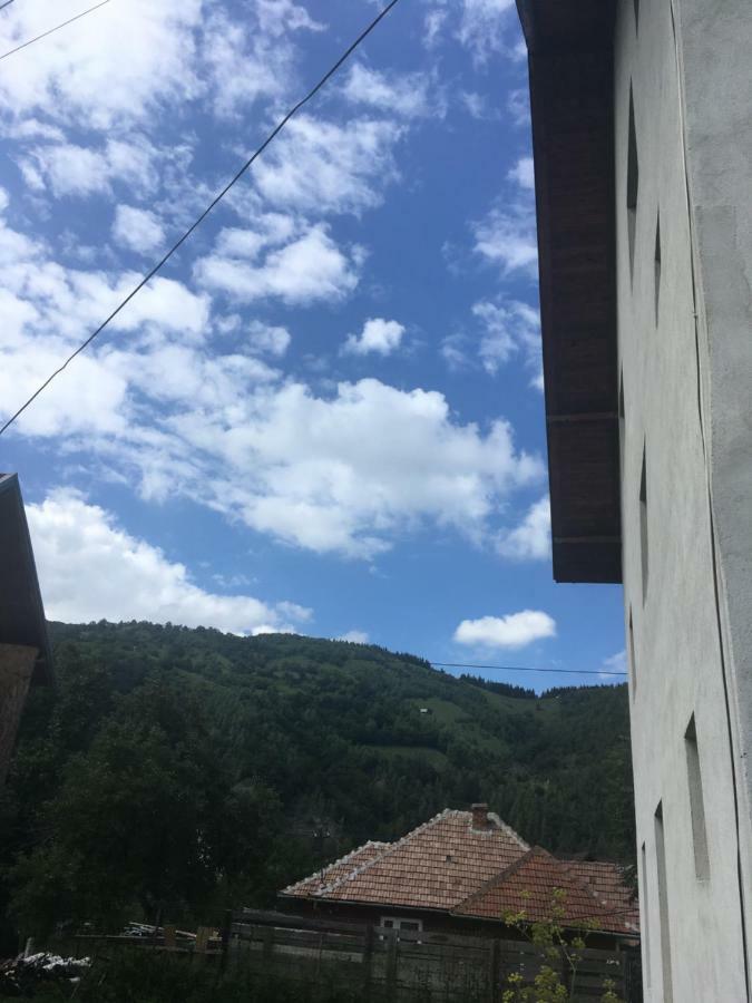 莫伊西德约斯 Casa Oana Ioana旅馆 外观 照片