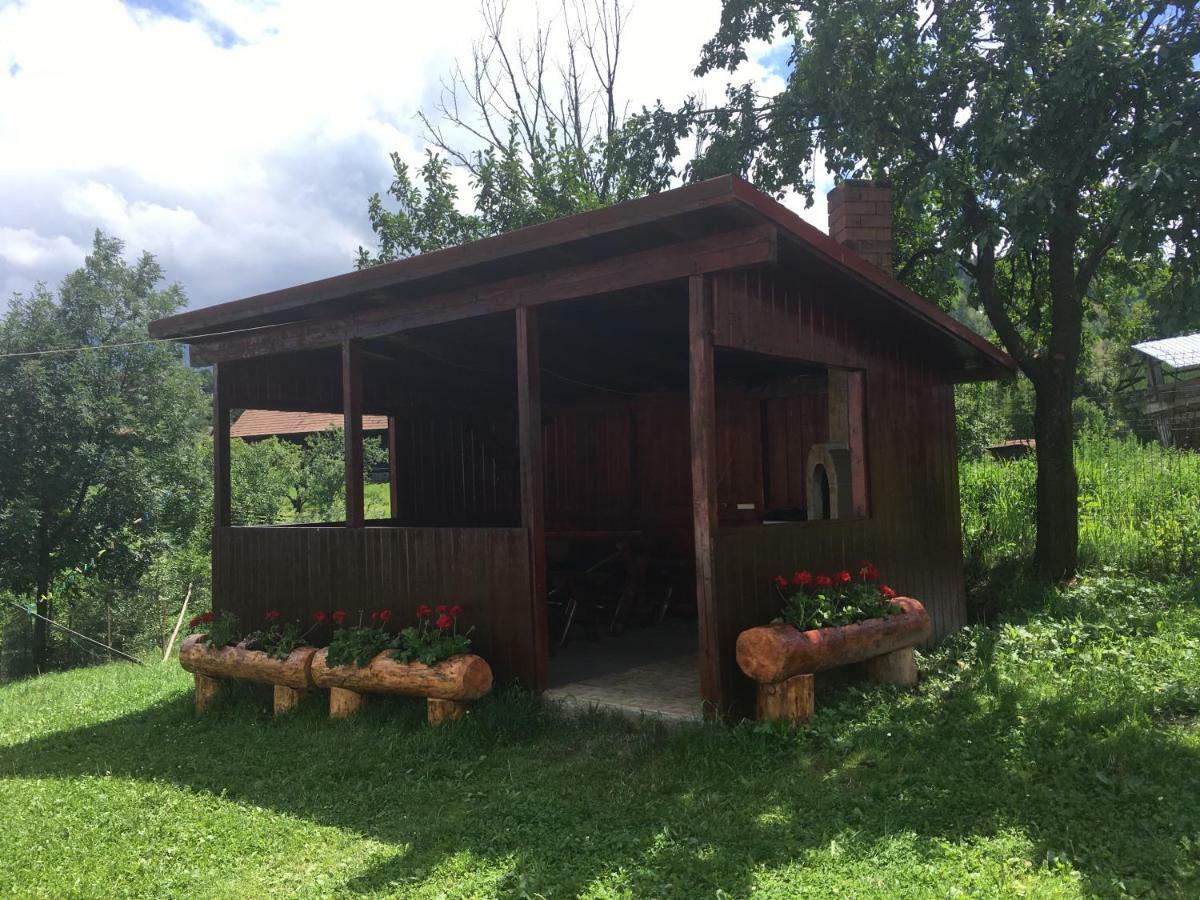 莫伊西德约斯 Casa Oana Ioana旅馆 外观 照片